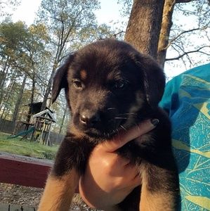 Meet your Posher, Jasmine